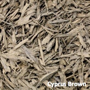 Cyprus brown