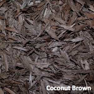 coconut brown