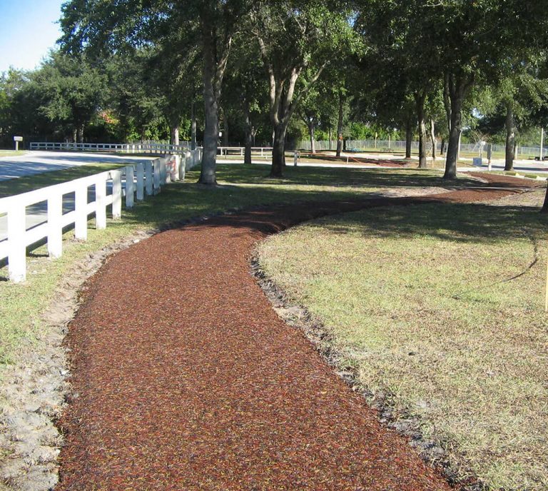 jungle_Deltona Rainbow Turf Exercise Trail