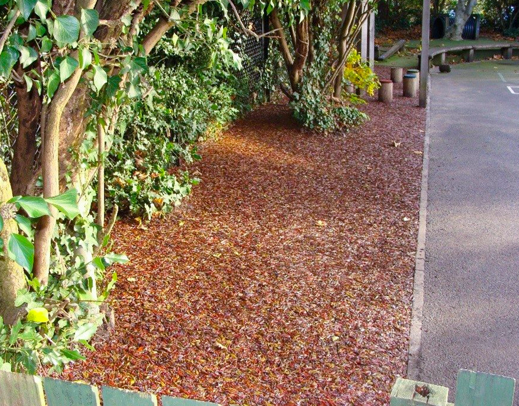 Red Jungle Mulch rubber mulch flooring installed around tree trunks next to a pathway